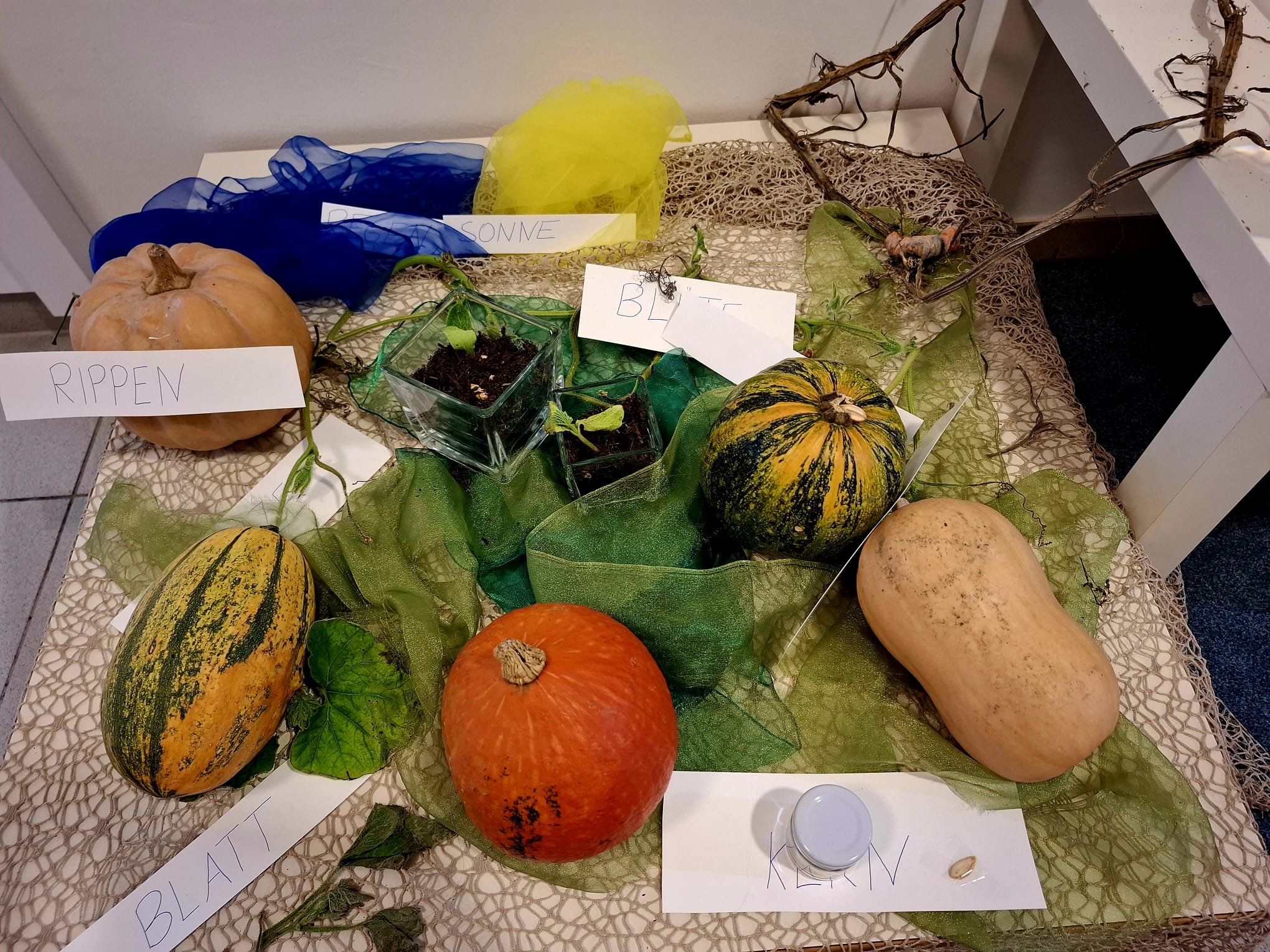 Kürbisprojekt Pfarrkindergarten Graz-Karlau