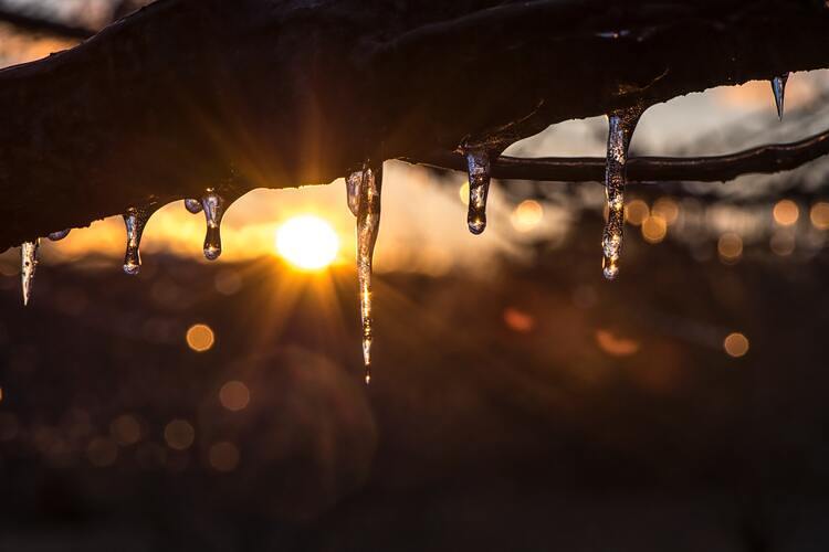 Lichtmess: nach einem langen, dunklen Winter, kehr das Licht wieder zurück.