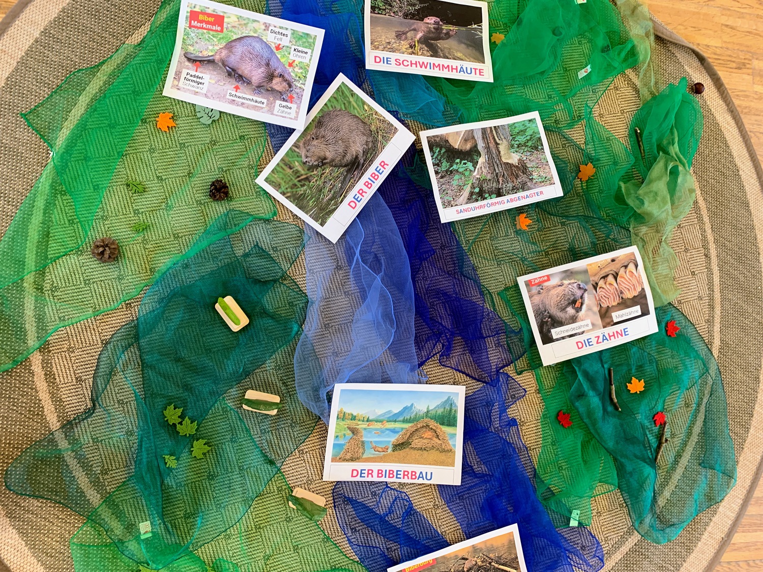 Pfarrkindergarten Karlau Der Biber 03